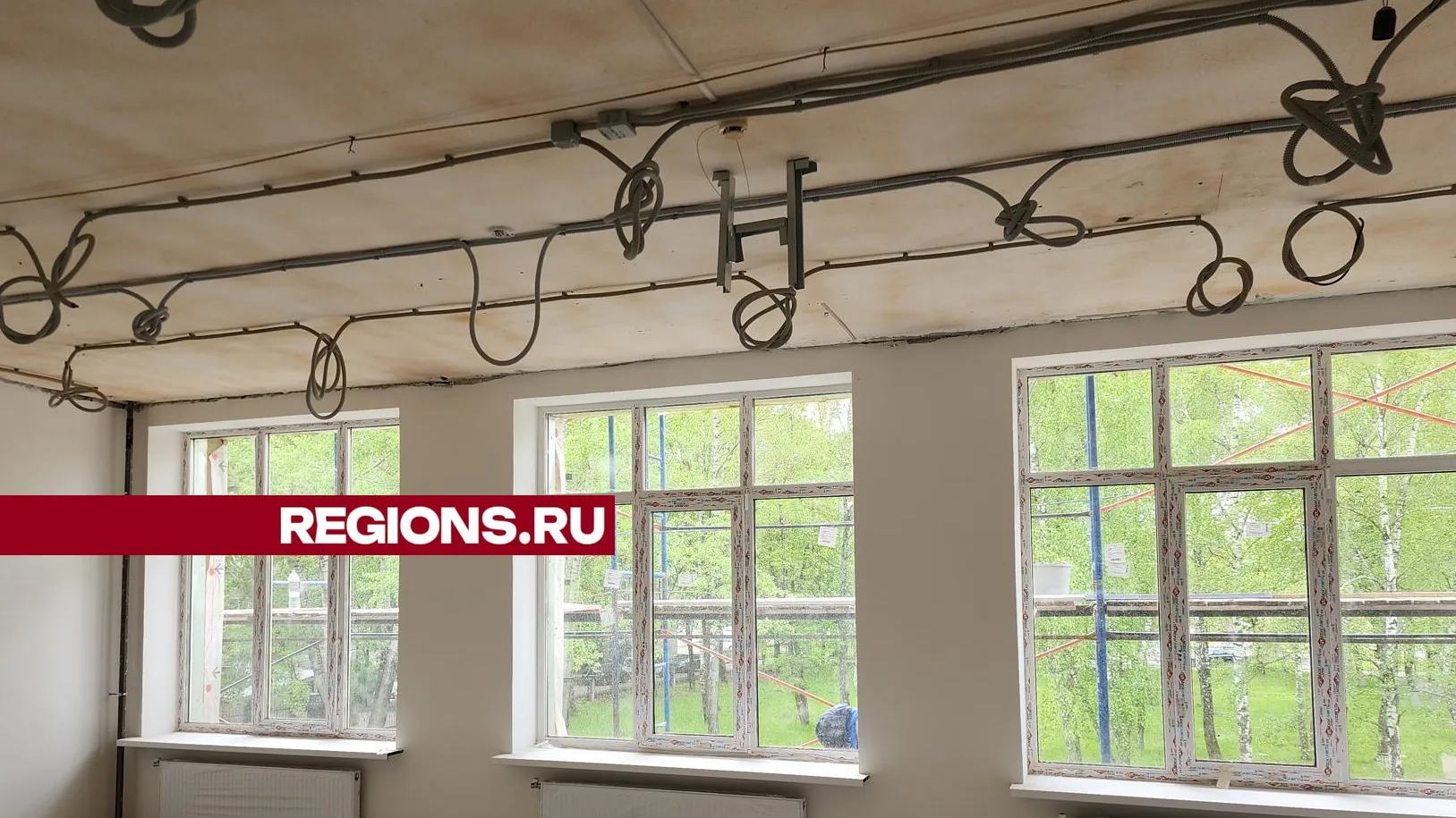 Фото: Александр Степушкин