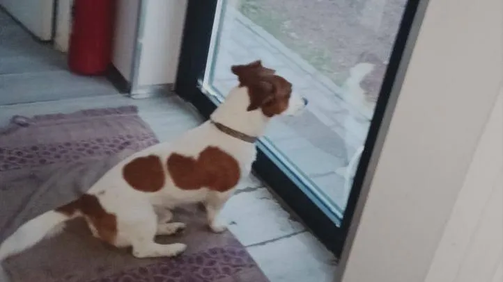 Фото: t.me/odin_parki