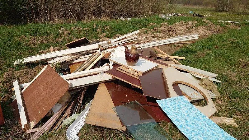 Житель Дубны выбросил старую мебель на опушку леса