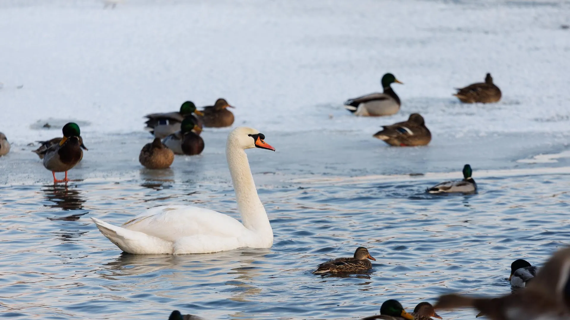 медиасток.рф