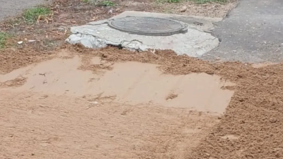 Фото: пресс-служба администрации г. о. Электросталь