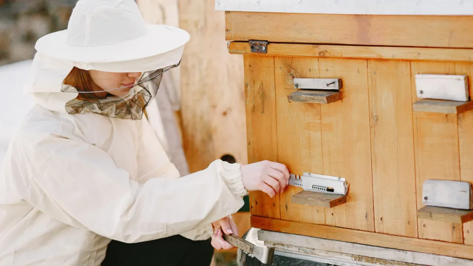 Фото: freepik.com