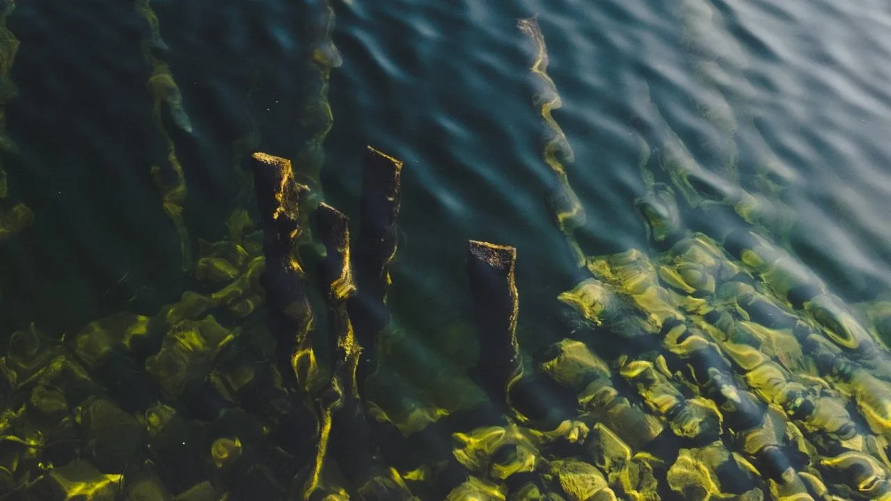 Unsplash