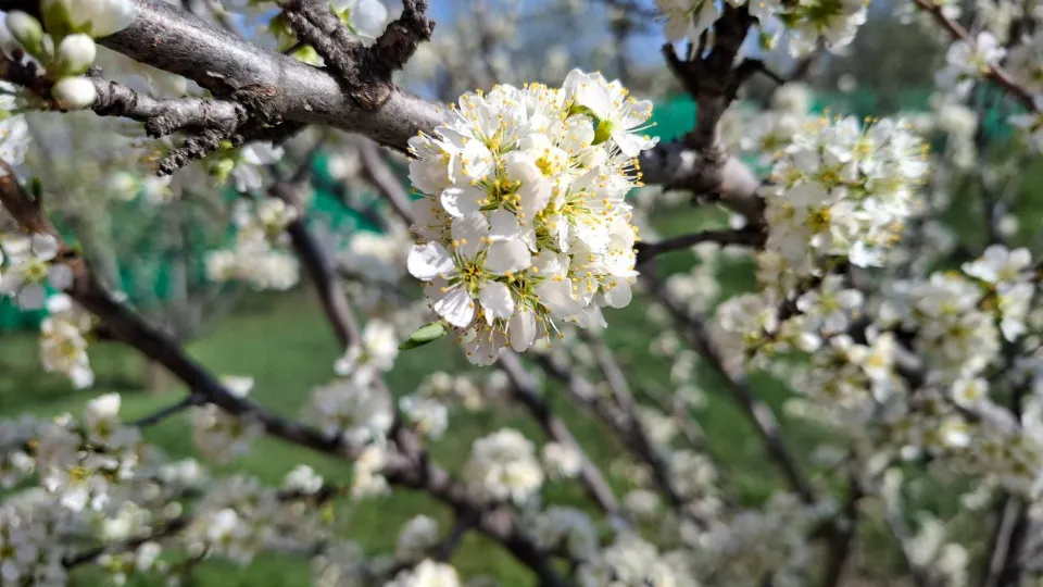 Фото: REGIONS/Юлия Габбасова