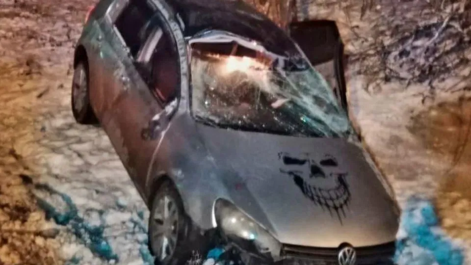 Фото: пресс-служба ГУ Росгвардии по Московской области