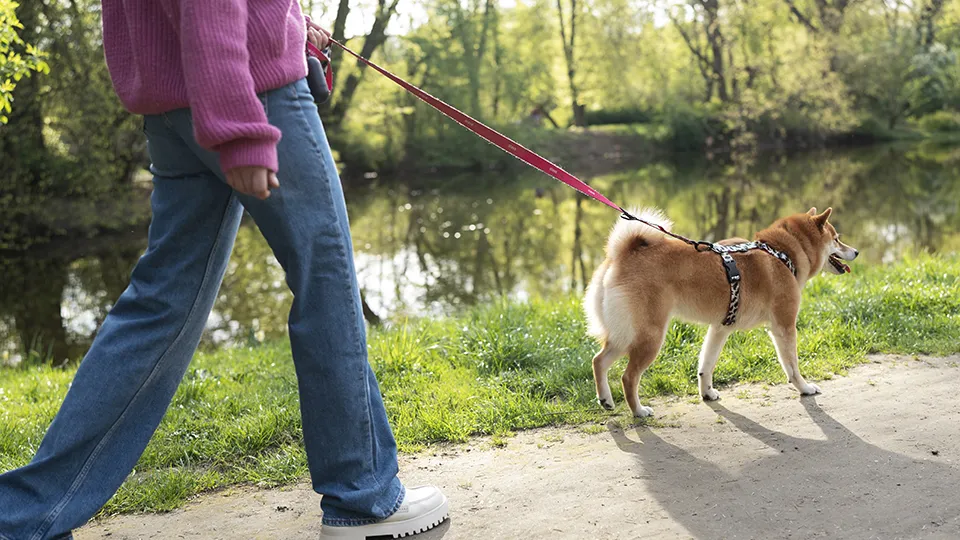 Фото: freepik.com