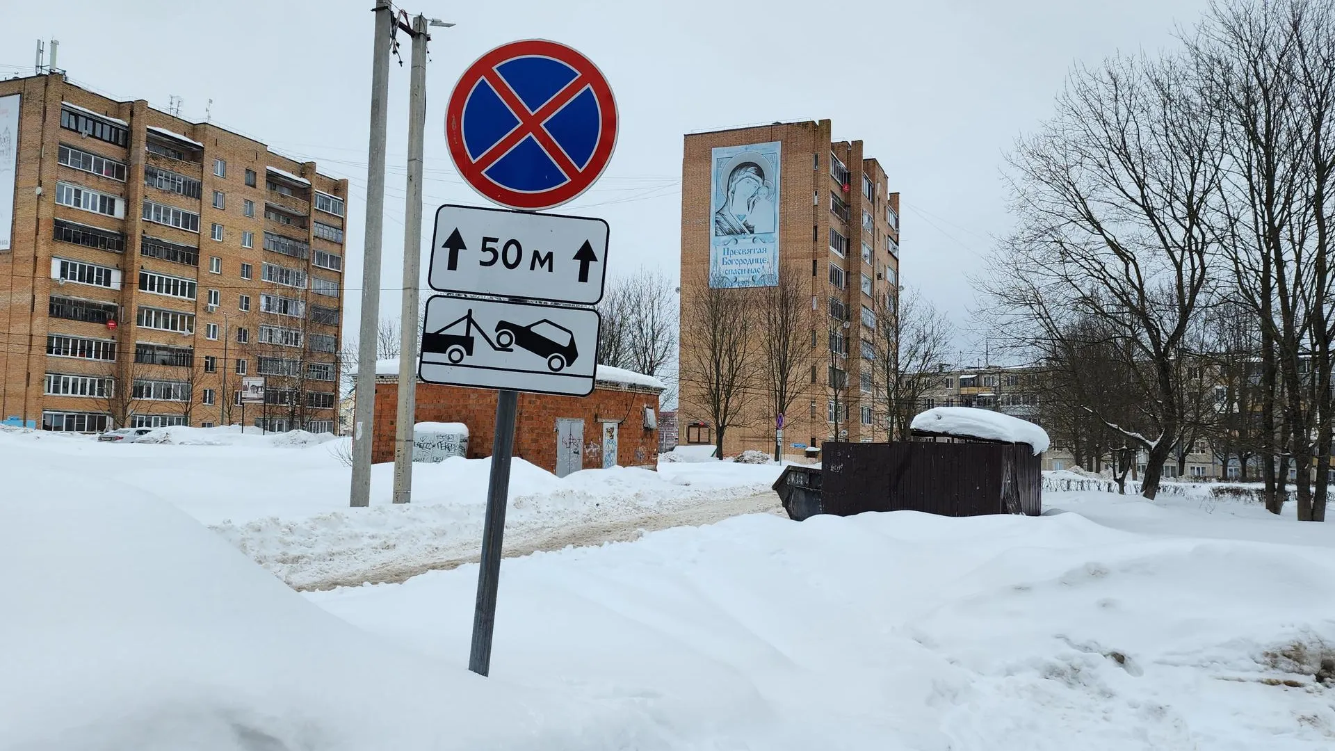Источник фото: Светлана Борщева