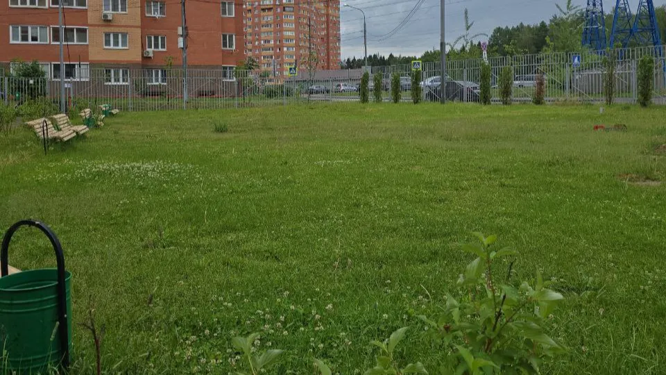 Фото: администрация Одинцовского городского округа