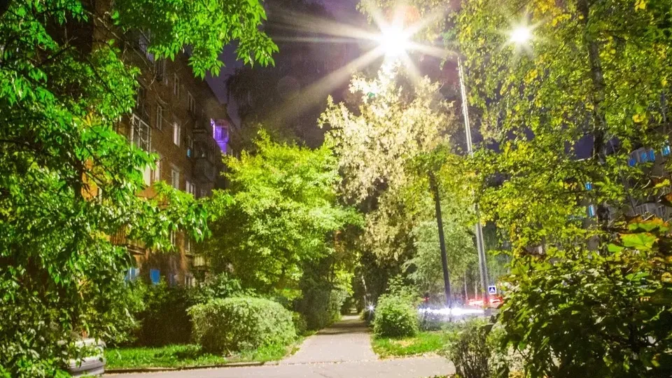 Фото: министерство благоустройства Московской области