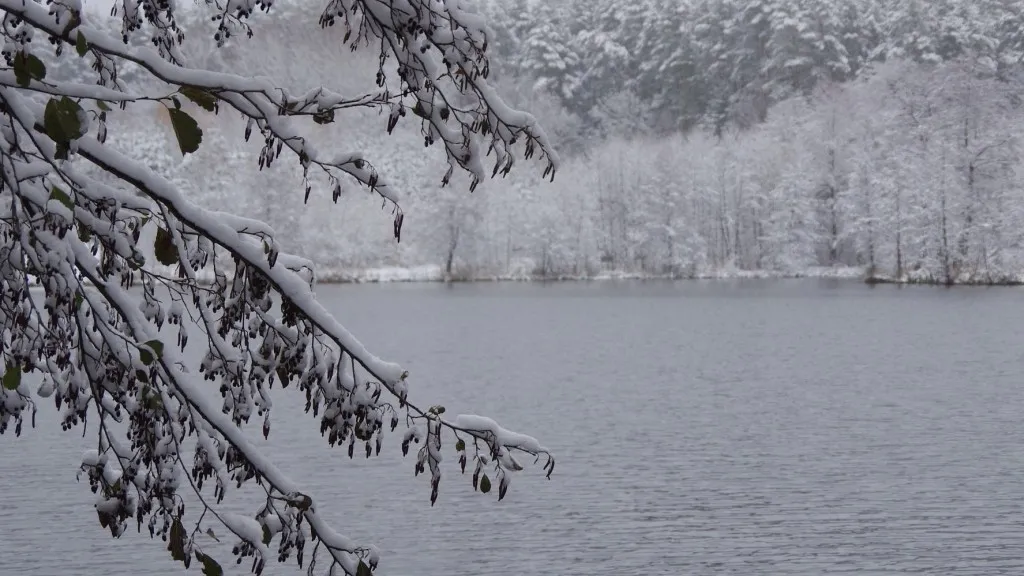 Фото: t.me/serpuhov_live