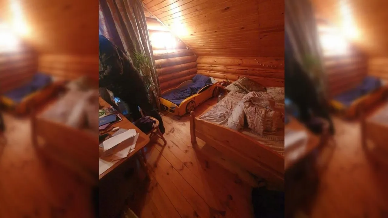 Против подростка, напавшего с ножом на спящих родственников в Подмосковье, возбудили дело