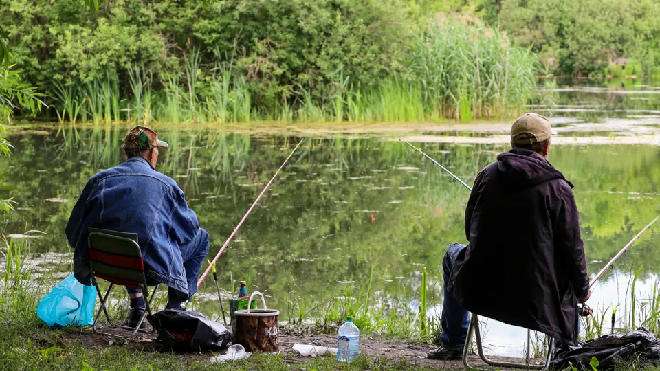 Фото: ТАСС/Олег Елков