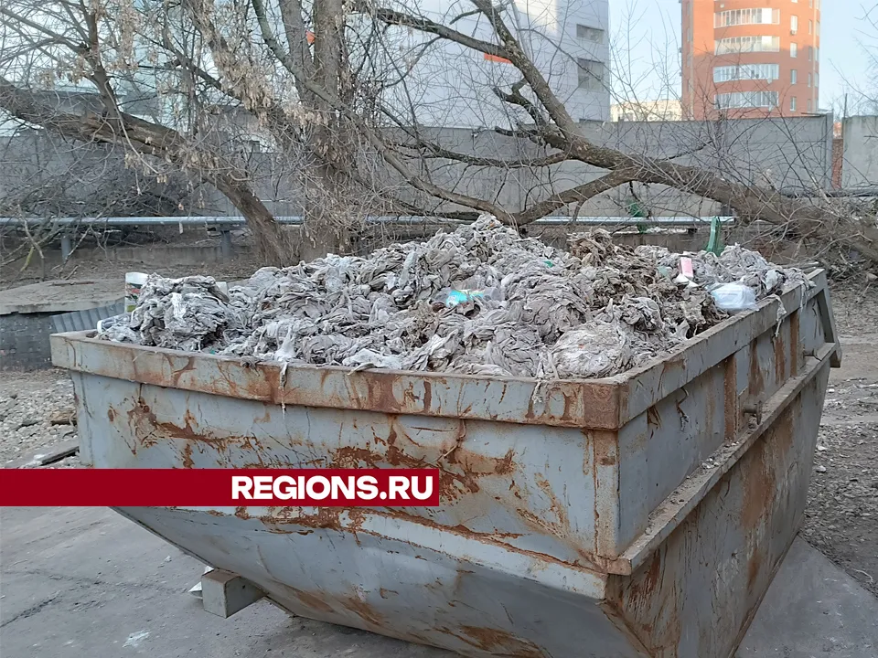 Фото: REGIONS/Роман Кутузов