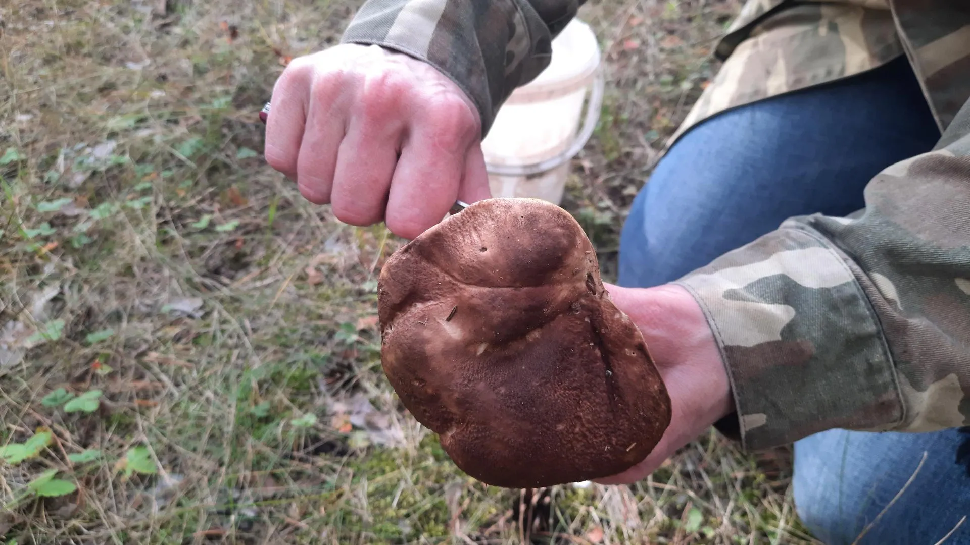 Фото: Михаил Мартыненко