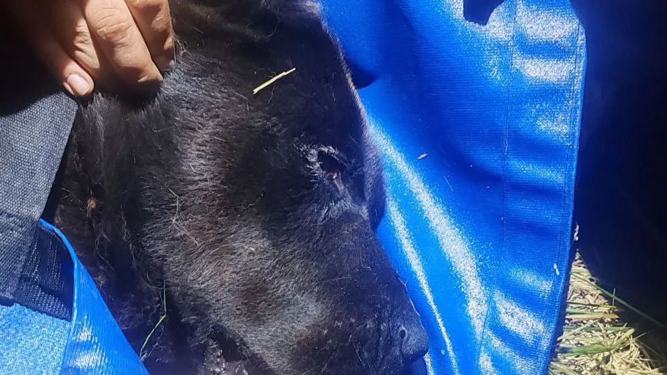 Фото: Ирина Фаустова