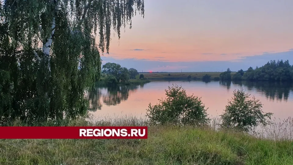 Фото: REGIONS/Александр Дрожжин