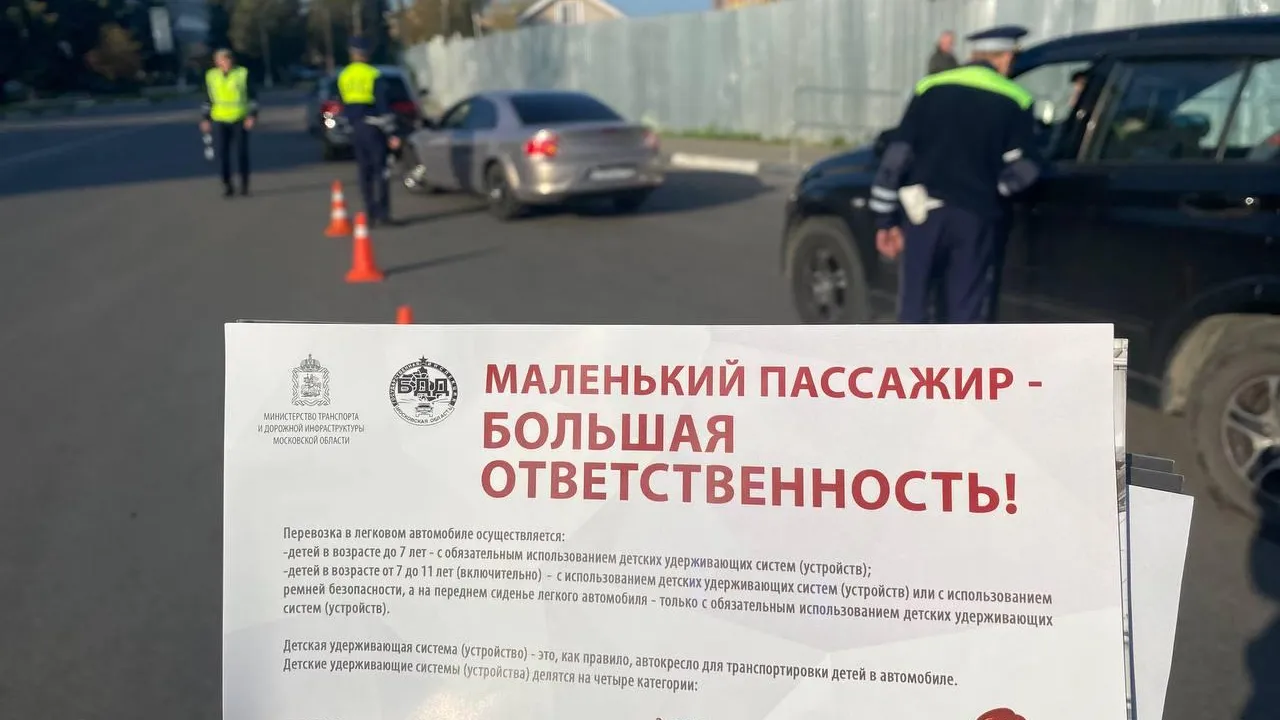 Источник: пресс-служба ГИБДД по городскому округу Павловский Посад