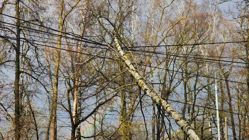 Фото: МедиаБанк Подмосковья/Яна Шаливская