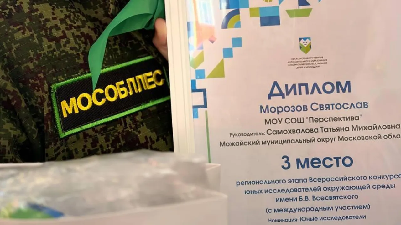 REGIONS/Яна Шаливская