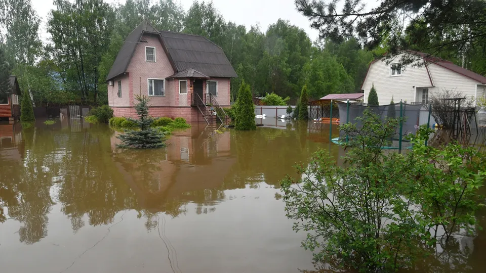 Фото: РИА Новости/Михаил Воскресенский