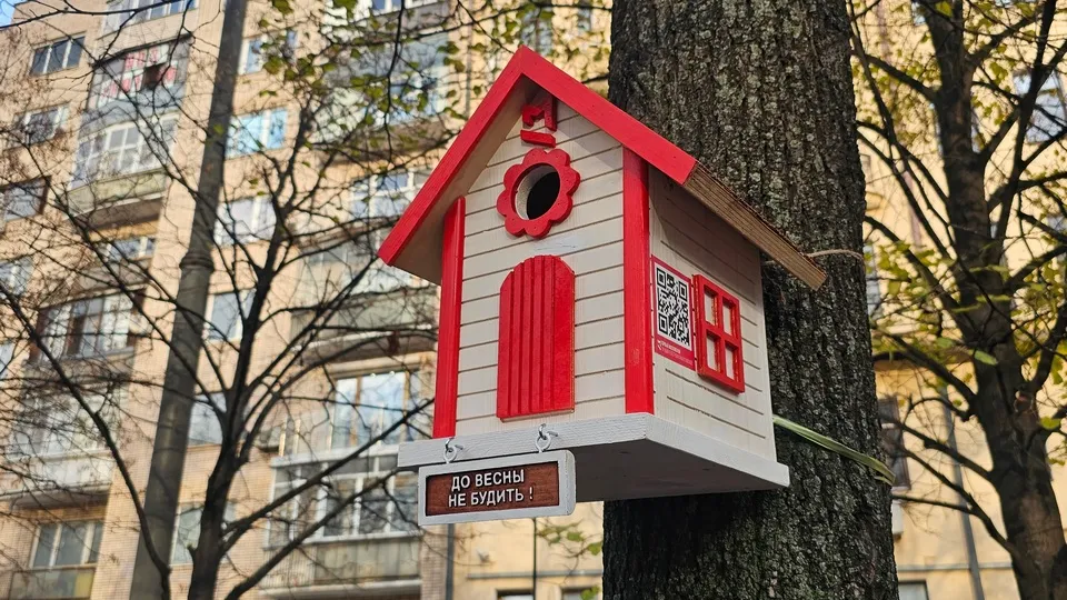 Фото: REGIONS/Александр Дрожжин