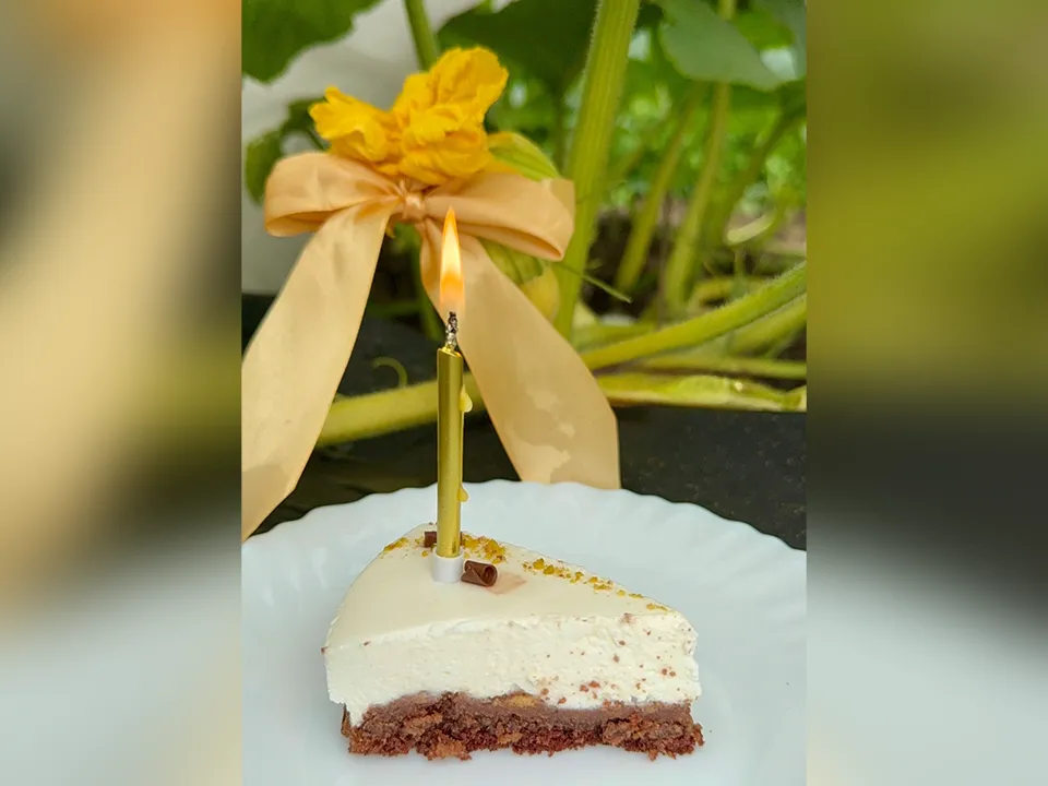 День рождения. Фото: Алина Романова