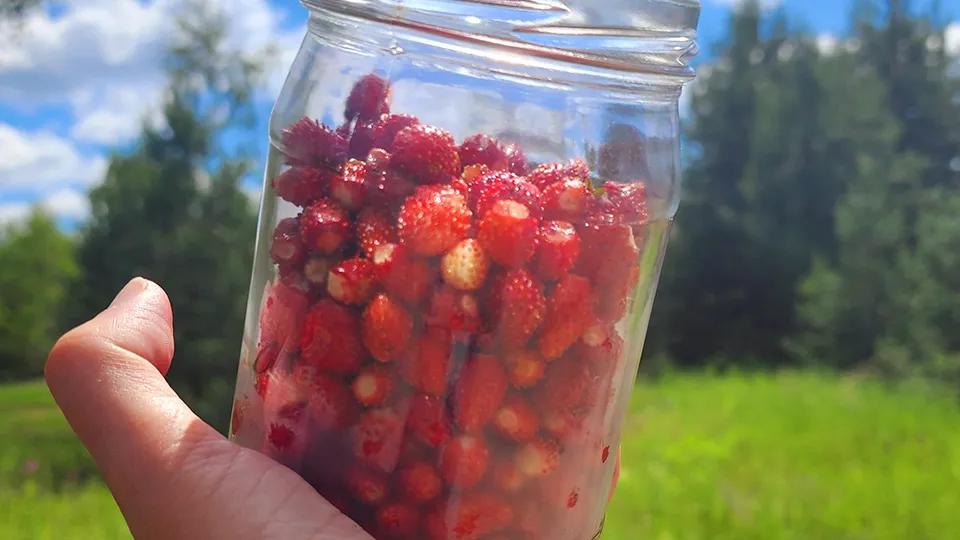 Фото: МедиаБанк Подмосковья/Анастасия Хренкова