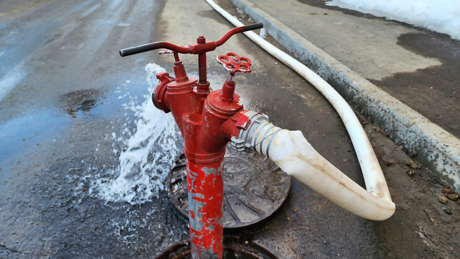 МедиаБанк Подмосковья/Юлия Унрау