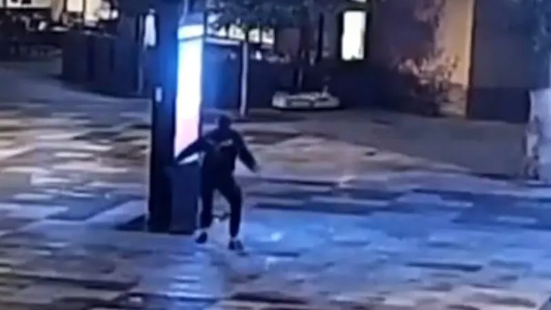 Полиция разыскивает вандала, устроившего погром в Ногинске