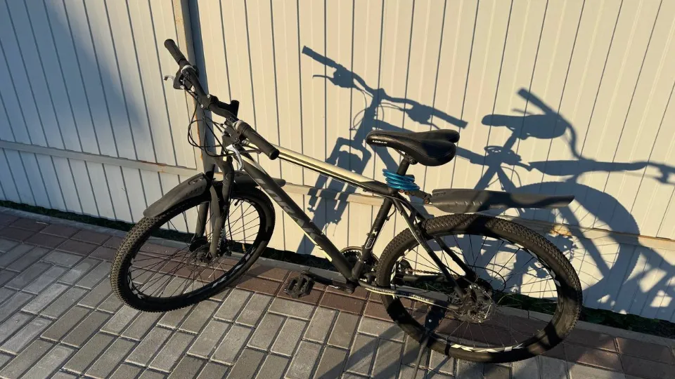 Фото: REGIONS/Евгения Макаренко