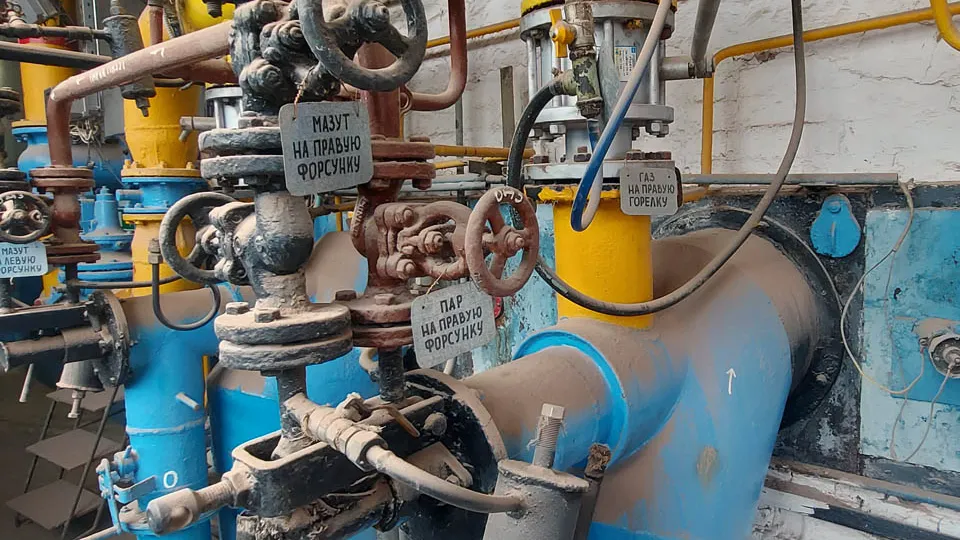 Фото: Медиабанк Подмосковья/Наталья Акулёнок