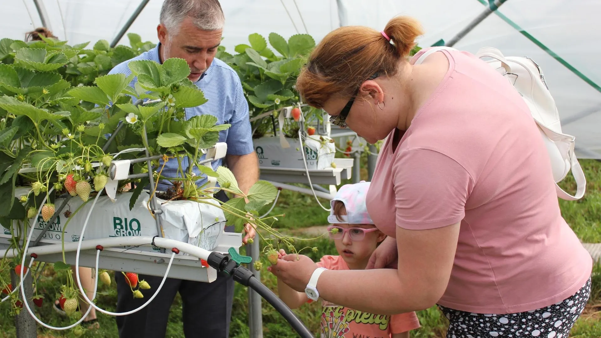 Фото: Администрация Наро-Фоминского городского округа