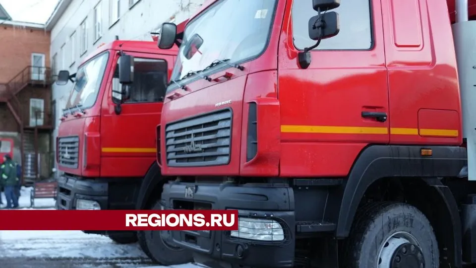 Фото: Дмитрий Зайчиков