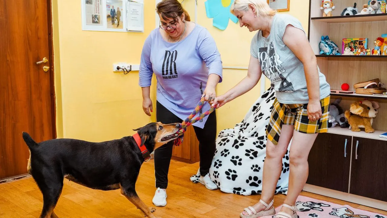 Фото: КЦСОиР «Орехово-Зуевский»