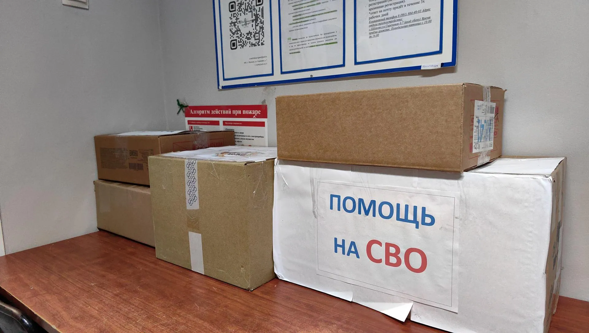 REGIONS/Елена Катасонова