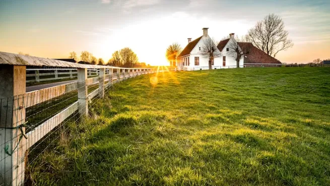 Фото: ru.freepik.com