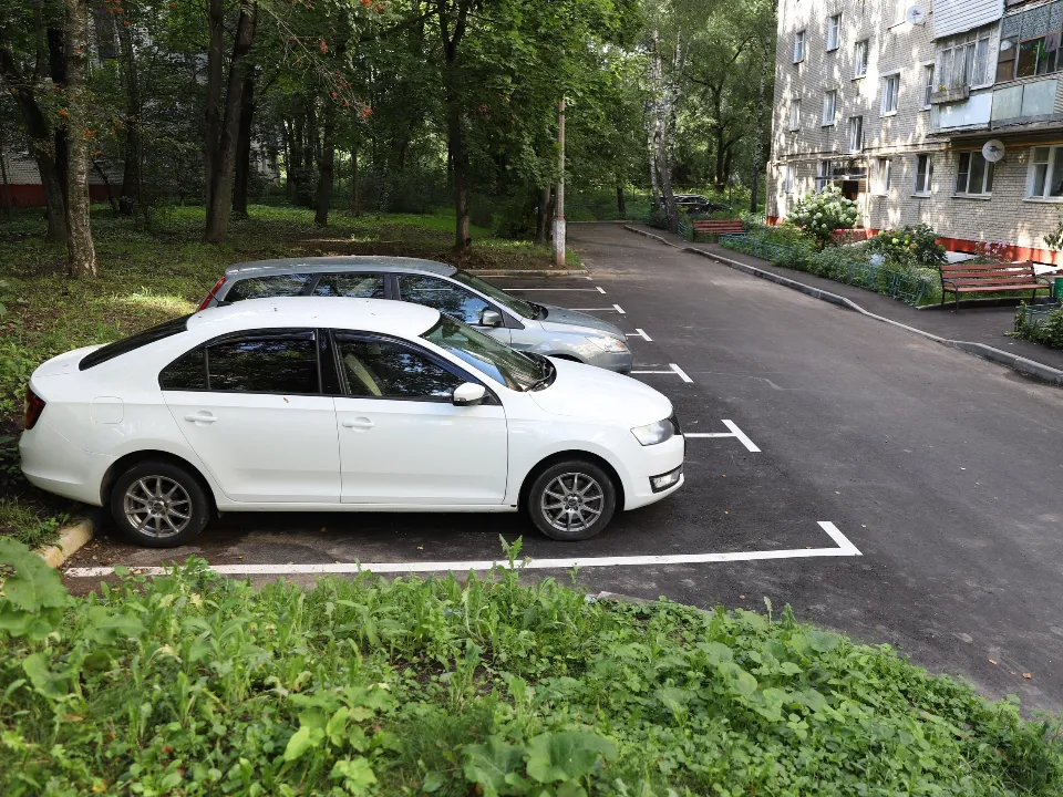 Фото: пресс-служба администрации г.о. Химки