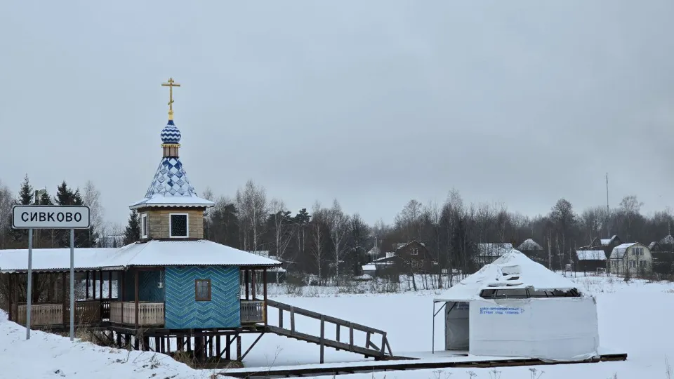 Фото: МедиаБанк Подмосковья/Яна Шаливская
