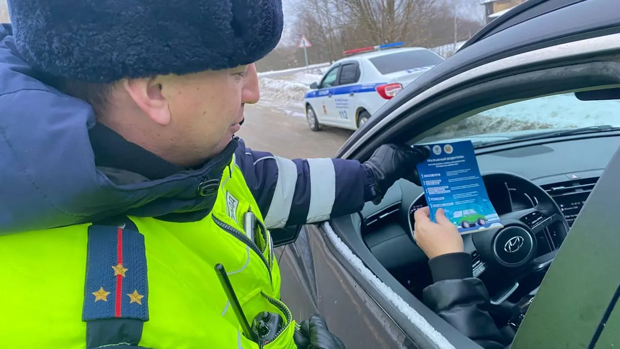 Источник: пресс-служба ГИБДД по Павлово-Посадскому округу