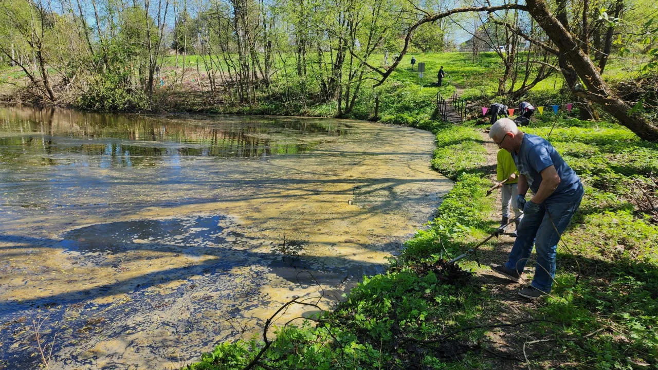 Фото: МедиаБанк Подмосковья/Светлана Борщева