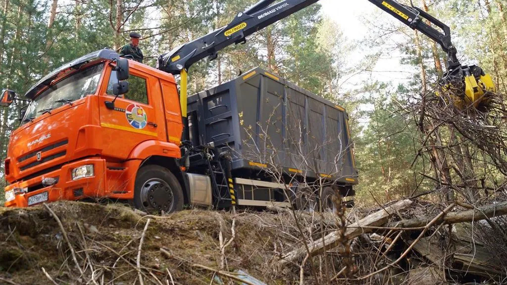 Фото: Комитет лесного хозяйства Московской области