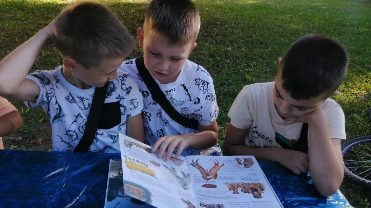 Фото: t.me/ParkVerbilki