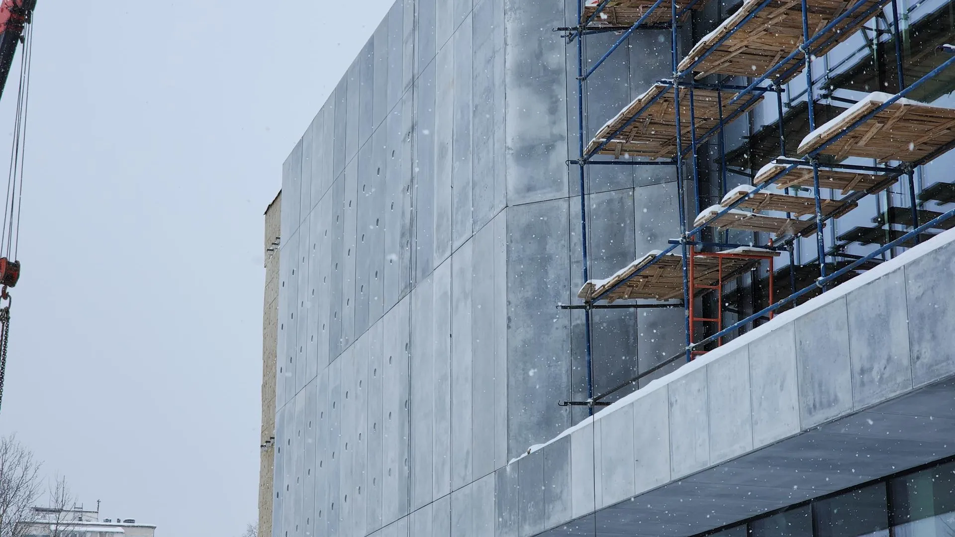 Фото: МедиаБанк Подмосковья/Иван Петрушин