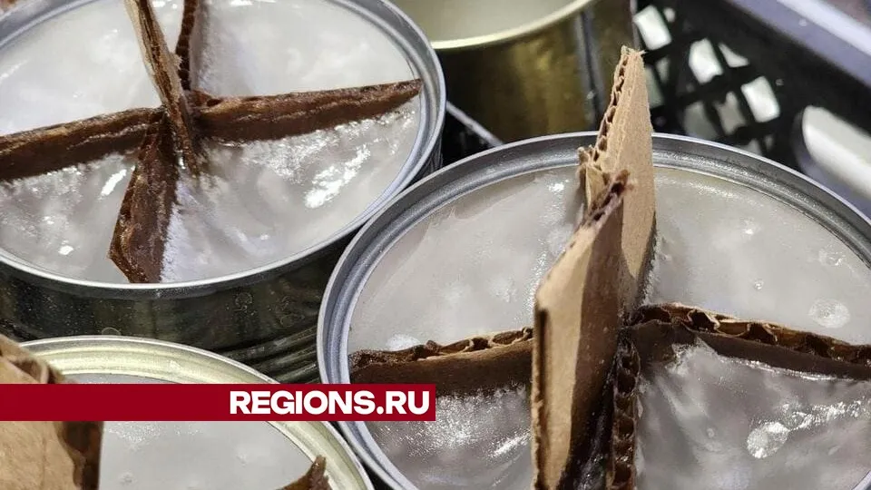 Фото: Светлана Плотникова