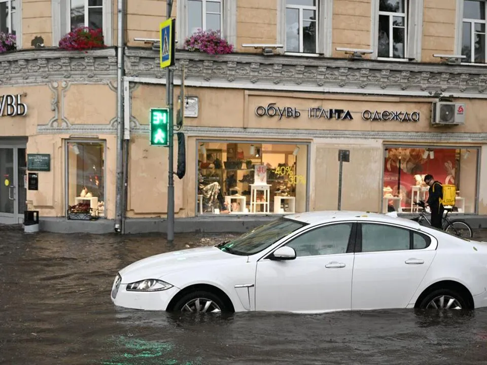 «Сражаются люди, а страдают деревья»: выяснилось, какой ущерб окружающей среде наносят боевые действия