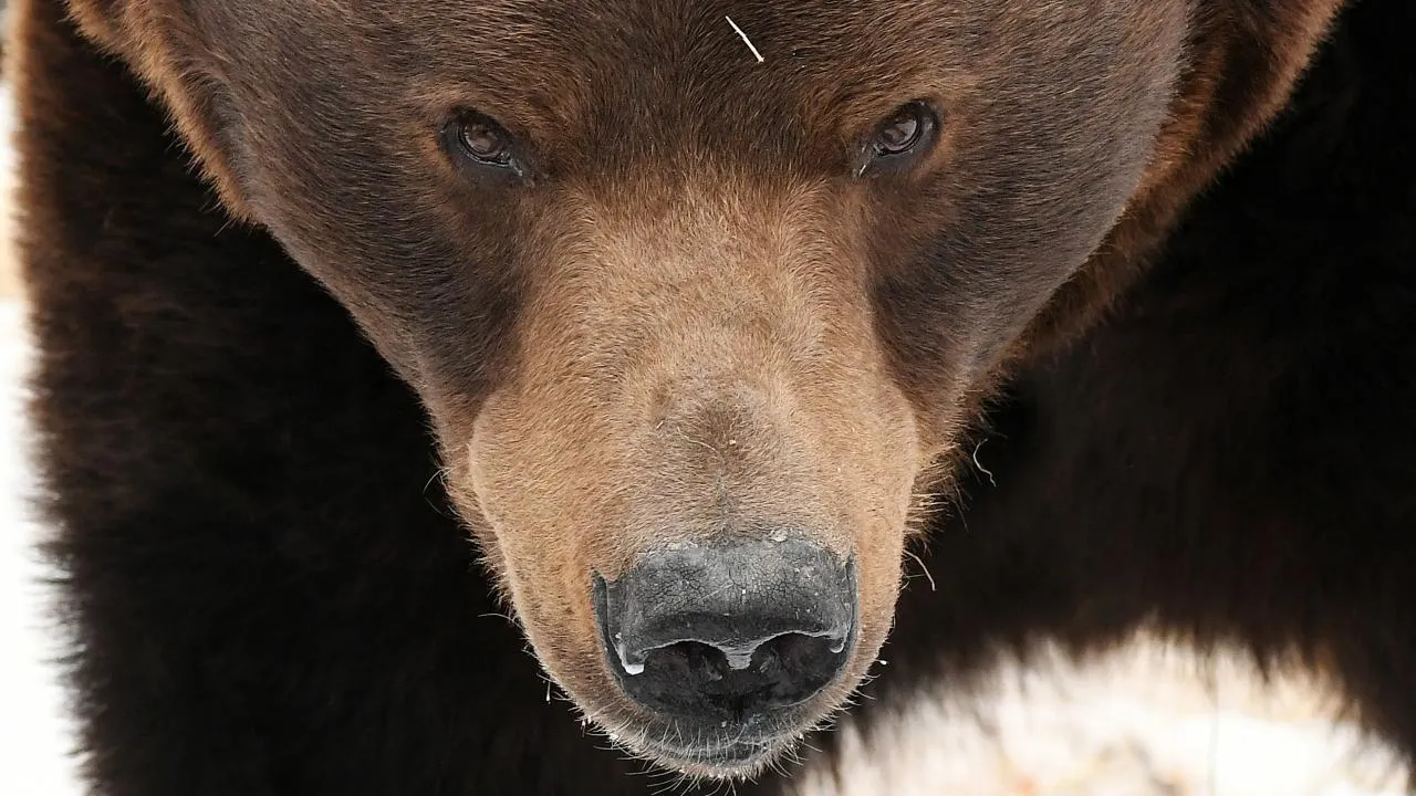 РИА Новости/Илья Наймушин