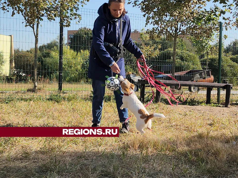 Фото: Юлия Смагринская