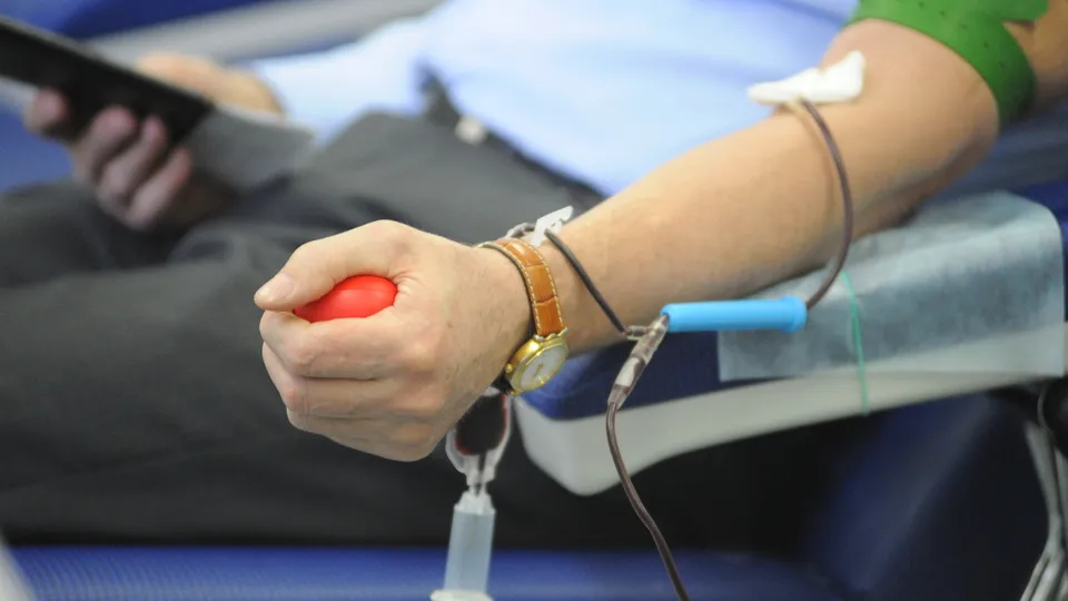 Фото: медиасток.рф