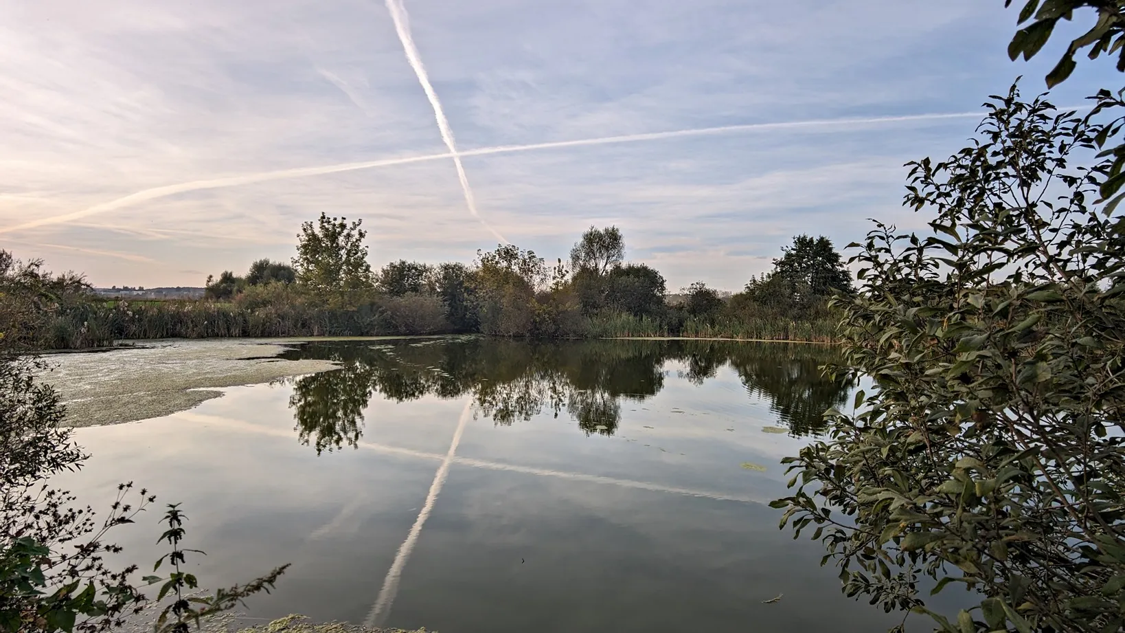 Фото: REGIONS/Алексей Селиверстов