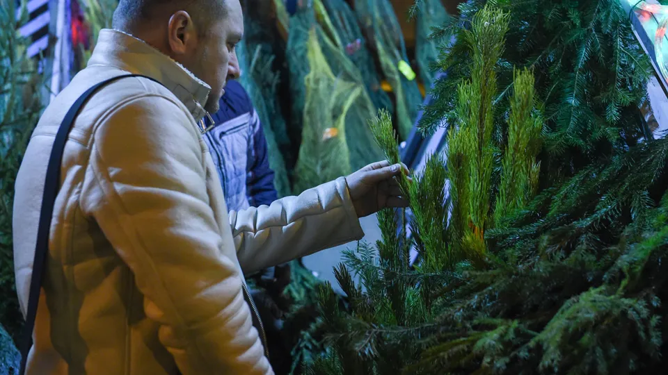 Фото: медиасток.рф